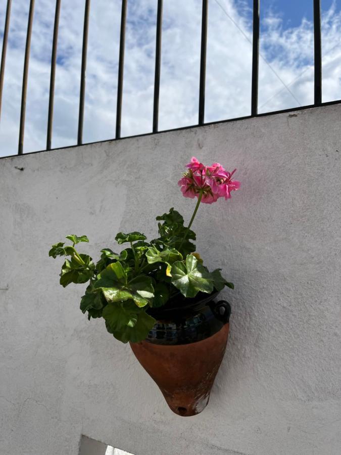 Atico Centro 17 Apartamento Jerez de la Frontera Exterior foto